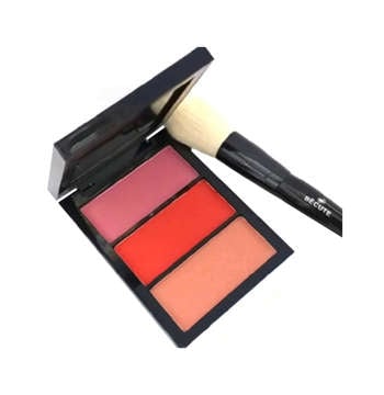 Picture of BECUTE BLUSH BY 3 WITH BLUSH BRUSH  MULTI COLOR