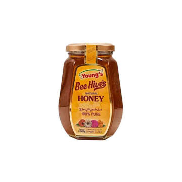 Picture of YOUNG'S HONEY  BEE HIVES NATURAL 500  GM 