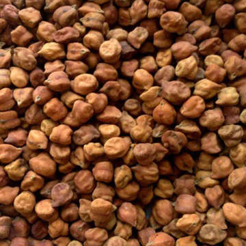 Picture of KW BLACK CHANNA SPECIAL 1 KG 