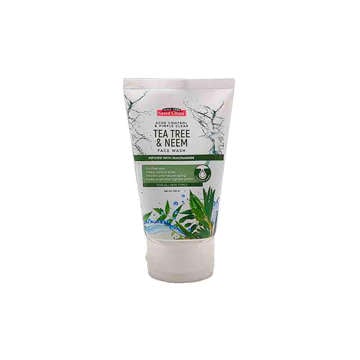 Picture of SAEED GHANI FACE WASH TEA TREE & NEEM 100 ML
